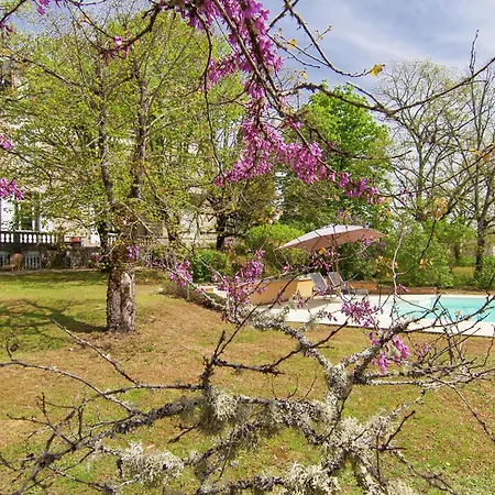 Сasa de vacaciones Manoir La Peyrade Brouchaud